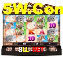 Sinta a adrenalina dos jogos de cassino com 8LL Bet